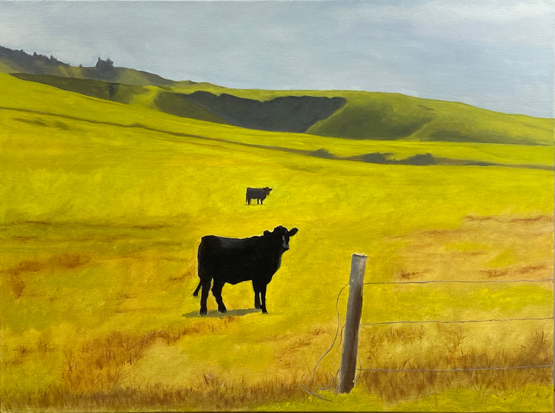Big Sur Cow oil on canvas